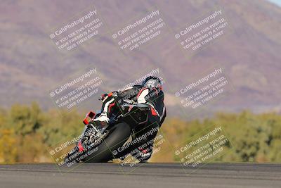 media/Feb-04-2023-SoCal Trackdays (Sat) [[8a776bf2c3]]/Turn 9 Backside (145pm)/